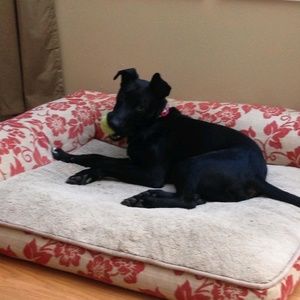 Meet your Posher, Holly